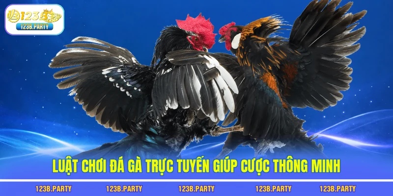 Luật chơi đá gà trực tuyến giúp cược thông minh