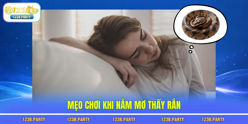 Mẹo chơi khi nằm mơ thấy rắn